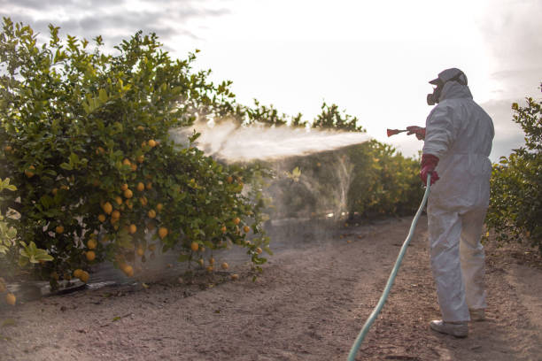 Best Wildlife Control Services  in Calico Rock, AR